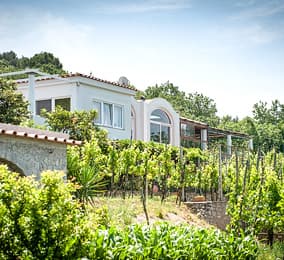 Agriturismo in Anacapri, Italy